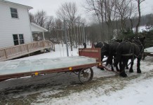 Meet the ice breakers: Amish ice-cutting frolic