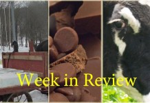 Farm and Dairy’s week in review: 2/14 Week in Review 2.14