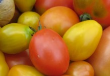 How to manage a profitable market garden heirloom tomatoes