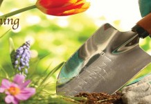 March’s gardening to-do list March garden