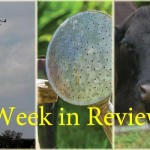 Farm and Dairy’s week in review: 3/21 Week in Review 3/21