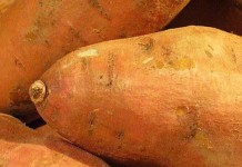 Classic Sweet Potato Casserole