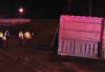 Update: Thirteen cows dead after trailer overturns on Interstate 80, driver charged