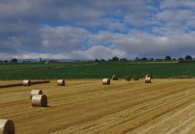 6 weather resources for farmers hay field