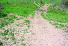 Electric fencing can be a great grazing management tool for farmers pasture