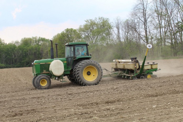 planting field