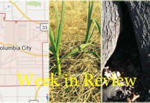 Farm and Dairy’s week in review: 5/16 Week in Review 5/16