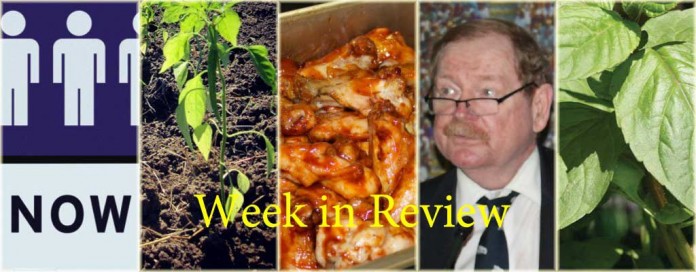 Week in Review 5/23