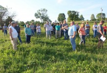Pasture Walk Kenney