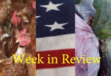 Farm and Dairy’s week in review: 5/30 Week in Review 5/30