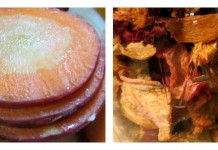 How to preserve the harvest: Food dehydration veggie chips