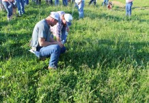 Kent State Tusc. branch debuts agribusiness degree