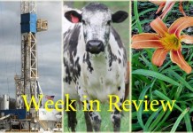 Farm and Dairy’s week in review: 6/13 Week in Review 6/13