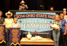 Ohio State Fair to offer poultry exhibitors new opportunity