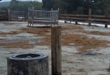 Conservation projects aim to fill gap left by traditional funding American Farmland Trust grant money.