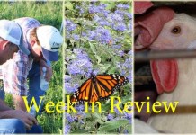 Farm and Dairy’s week in review: 6/20 Week in Review 6/20