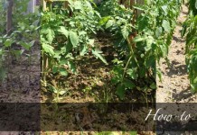 How to manage your garden after too much rain muddy garden