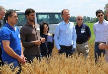 European wheat traders learn about research at OARDC
