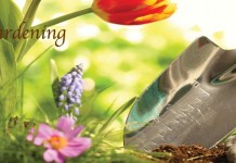 July’s gardening to-do list July gardening