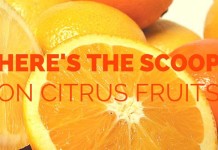 Here’s the scoop on citrus fruits citrus fruits