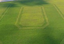 Undisputed precision ag: Ohio State logo in cornfield This cornfield bordering I-70 at The Ohio State University's Molly Caren Agricultural Center in London, Ohio, was planted with two hybrids of different maturity dates and tassel colors.