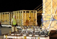 Exporting live animals easier, thanks to the Rickenbacker Airport Cow transport at Columbus airport