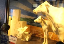 Sculptors start buttering up an Ohio icon for the 2015 fair 2014 Ohio State Fair butter cow