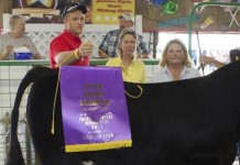 Trumbull County Fair 2015 Trumbull Grand Champion Market Beef