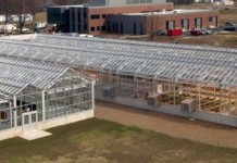 New greenhouses boost research, competitive edge OSU Williams greenhouses
