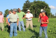 Pastures keep improving at Lone Pine Ranch