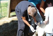 TV vet tells real-life story of working with farm animals veterinarian