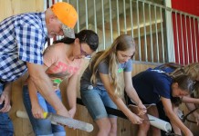 Veterinary camp comes to East Canton