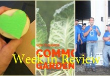 Farm and Dairy’s week in review: 7/25 Week in Review 7/25