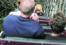 Grain markets and the Monday morning upchuck blues Grain markets on a rollercoaster