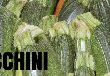 Ask Jen about zucchini Ask Jen about zucchini