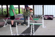 Hop to it: Jefferson County Fair hosts first rabbit hopping contest