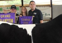 Portage County Fair auction results grand steer