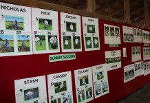 Michigan lifts poultry exhibit ban Poultry posters