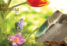 August’s gardening to-do list flowers and trowel