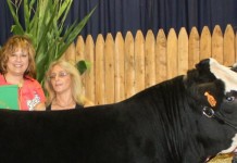 Mercer County (Pa.) 4-H Roundup livestock photo gallery 2015 Mercer County (Pa.) 4-H Roundup