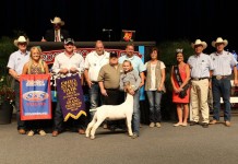 Ohio State Fair sells champions Champion goat