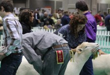 ‘Three-ring circus’: Changes keep coming at NAILE