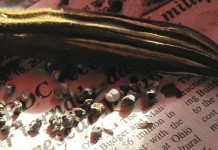 The self-sufficient gardener: How to save seed okra and seeds