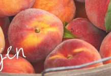 Ask Jen about being peachy basket of peaches