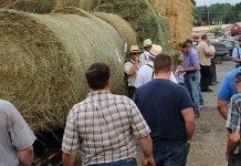 Tough year for haymaking, as well Hay sale