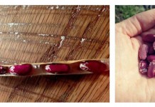 Beans, beans, homegrown proteins Jacob's cattle beans