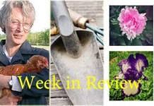 Farm and Dairy’s week in review: 8/29 Week in Review 8/29