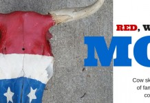 Cow skull becomes family’s college mascot Red, white and blue cow skull