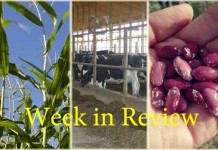 Farm and Dairy’s week in review: 9/5 Week in review 9/5