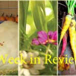 Farm and Dairy’s week in review: 9/12 Week in Review: 9/12